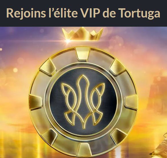 Découvrez les Avantages de Jouer au Tortuga Casino en Ligne en France